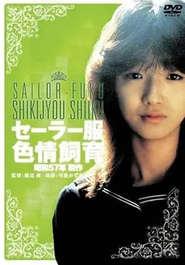 桥电影推荐：钢索上的黎明电影海报